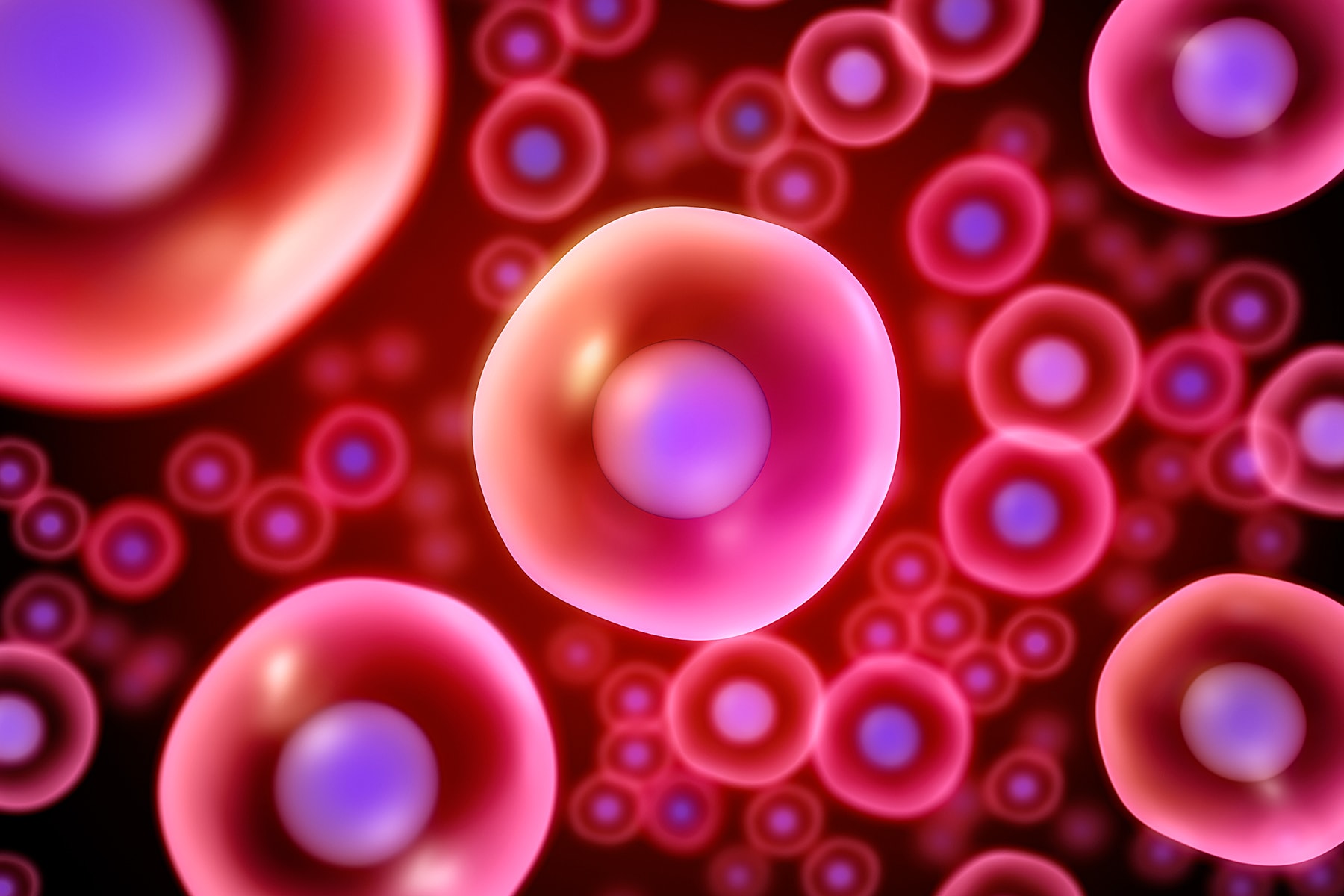 WHAT IS STEM CELL TECHNOLOGY | WeaverMag