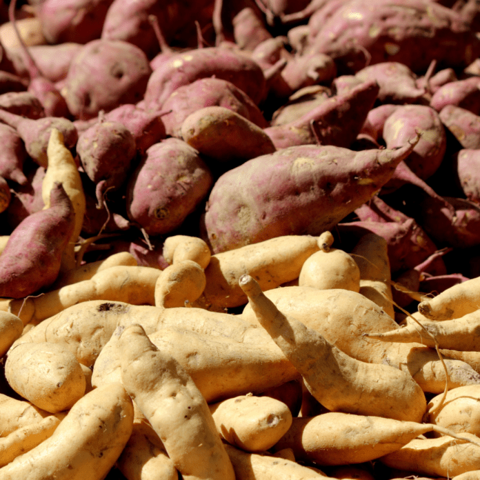 write an essay on a yam festival in your community