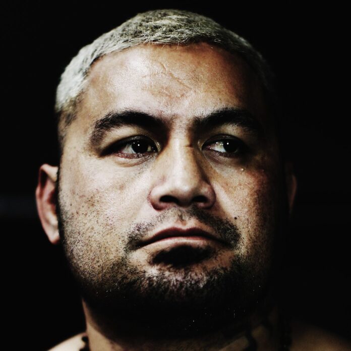 mark hunt against ufc