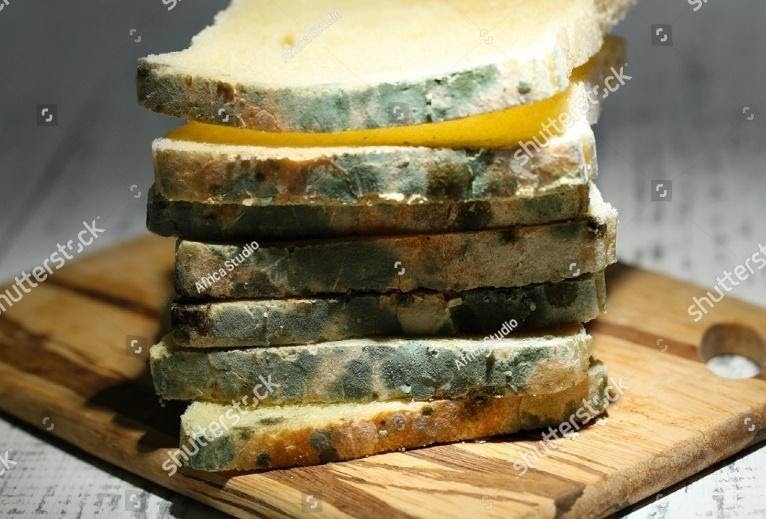 mousumi-monthly-essay-competition-header-ad