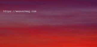 How to deal with anxiety due to Homestay(Corona control)