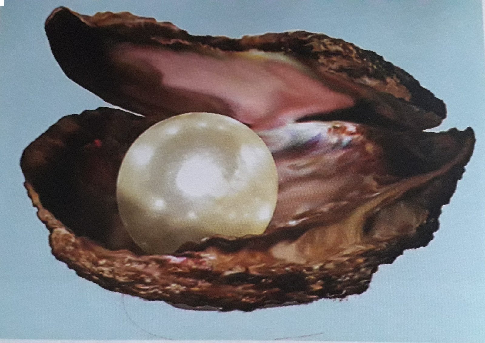 mousumi-monthly-essay-competition-header-ad