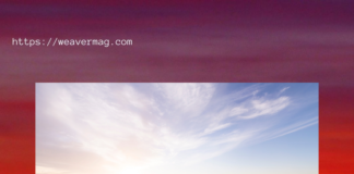 Marina Beach: the 2nd largest beach