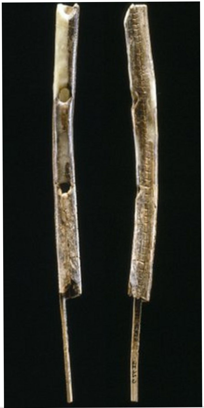 mousumi-monthly-essay-competition-header-ad