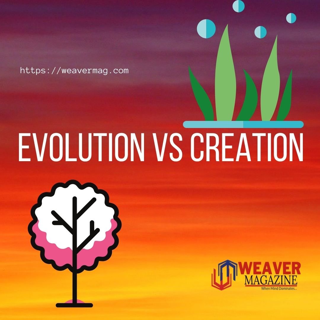 Evolution vs Creation: Did life Evolve !