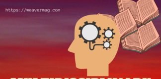 What Is Multidisciplinary Education – The Value and Facts