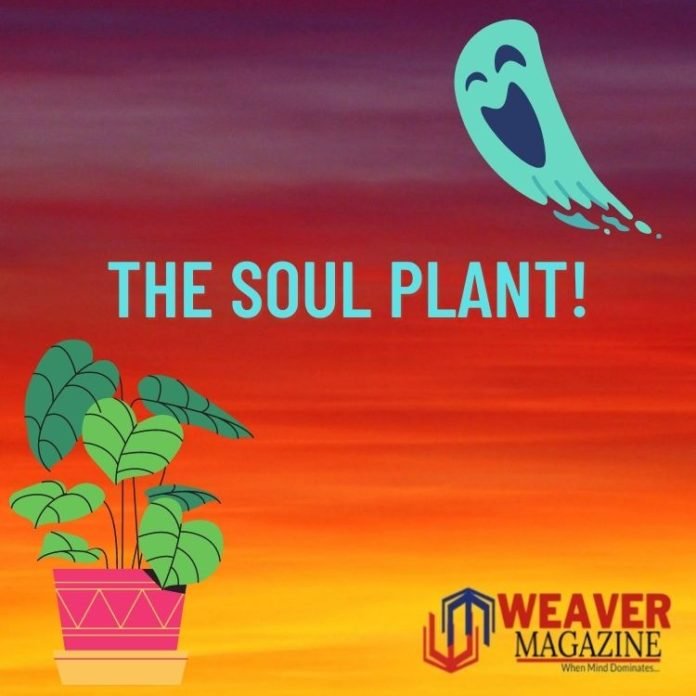 The Soul Plant!