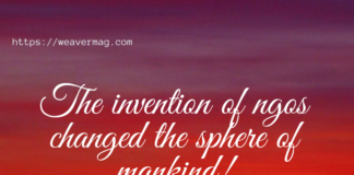 The invention of NGOs changed the sphere of mankind