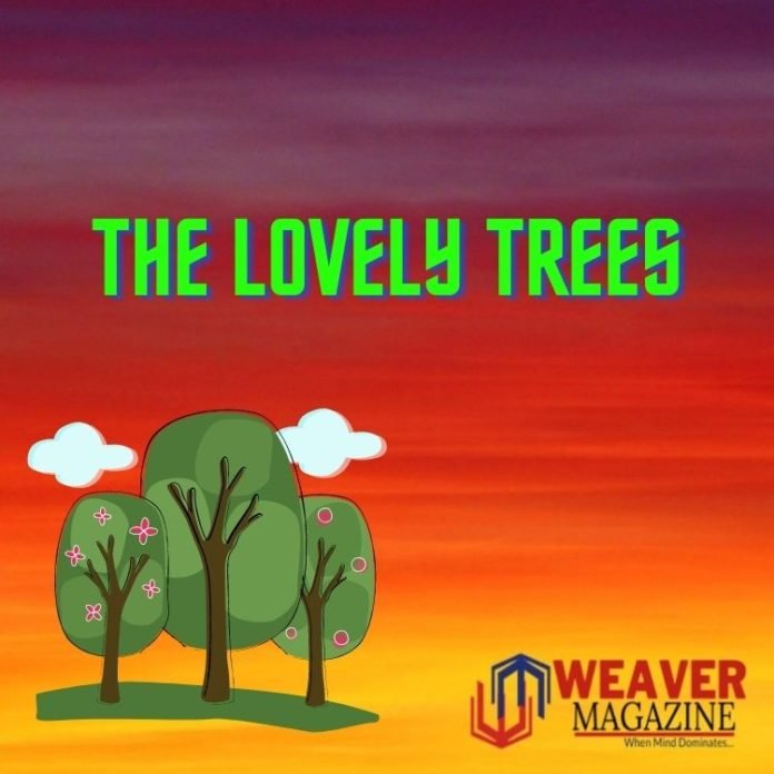 The Lovely Trees