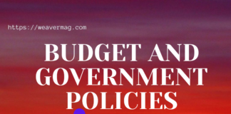 Budget and Government Policies