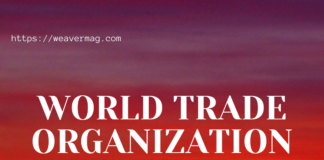 WTO:(A rules-based, member-driven organization)