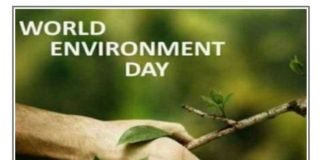 World Environment Day