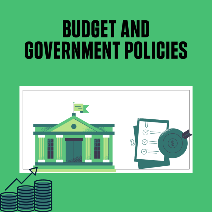 budget and government policies