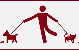 A Conflict between Profit and Privacy