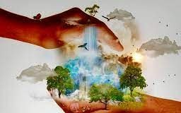 Biodiversity conservation