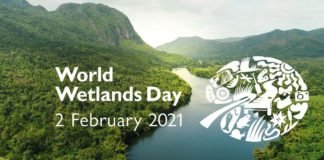 World Wetland Day