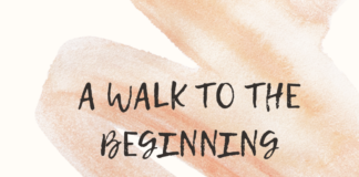 A Walk to the Beginning