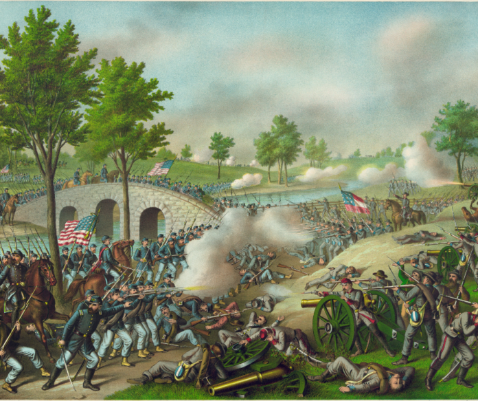 Untitled design (12)