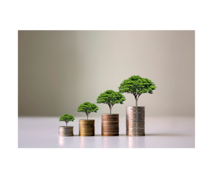 Untitled design (34)