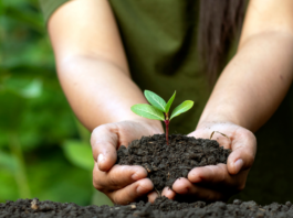 The Role of an Individual in Conserving Environment