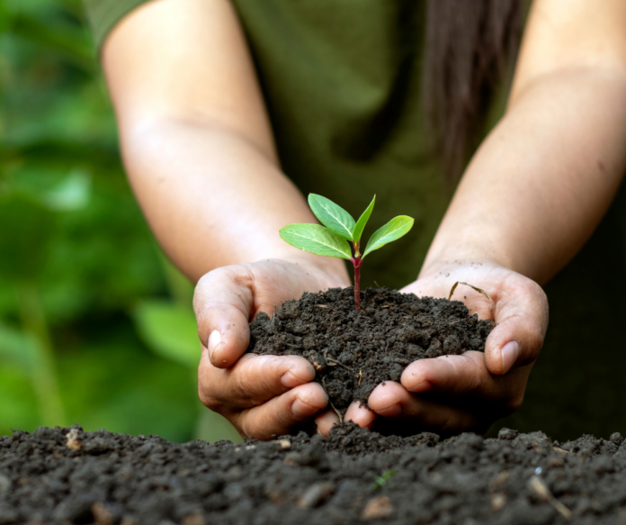 Untitled design (40)