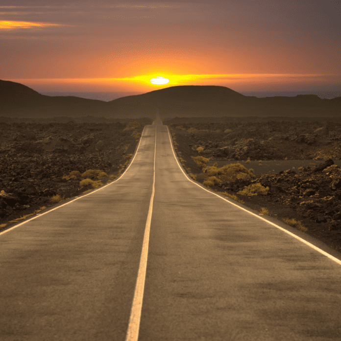 Untitled design (63)