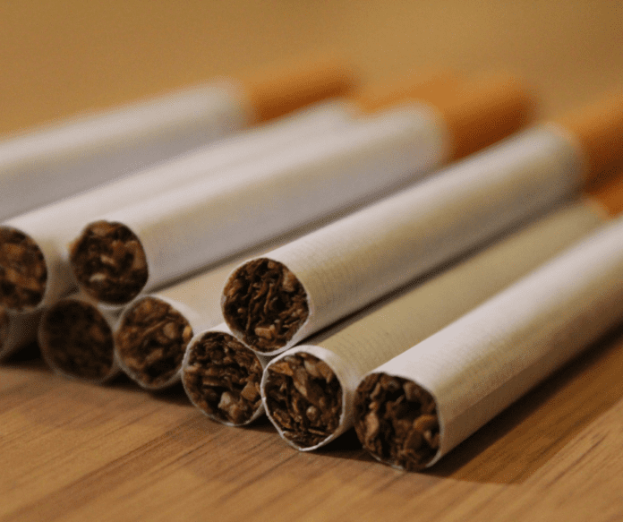 Untitled design (74)