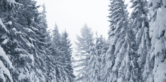 Ski Holiday prior to the year ahead