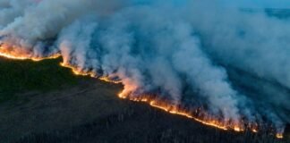 Battling the Inferno: Canada’s Struggle Against Unprecedented Wildfires Canada Fire