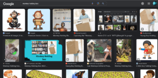 Google’s Unfortunate Blunder: The Monkey Holding Box Mishap monkey holding box