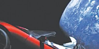 Unconventional Cargo: Strange Things Sent Into Space for Science car in space