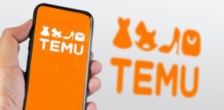 The Rise of Temu: Disrupting the Landscape of Online Shopping Temu
