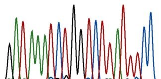 Sanger sequencing: The gold standard in DNA analysis