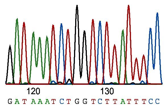 DNA_sequence-pdf