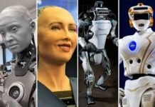 Ponas Robotas: the AI Robot that collaborates with Human in Future Ponas
