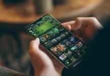 About Zoro Bumi22.com Zoro