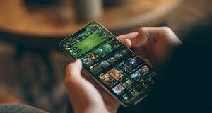 About Zoro Bumi22.com Zoro