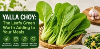 Yalla Choy: The Leafy Green Worth Adding to Your Meals