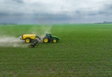 Power Weeder: Complete Guide to Features, Benefits & Specifications | Royal Kissan power weeder