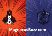 MagnexusBuzz com MagnexusBuzz com